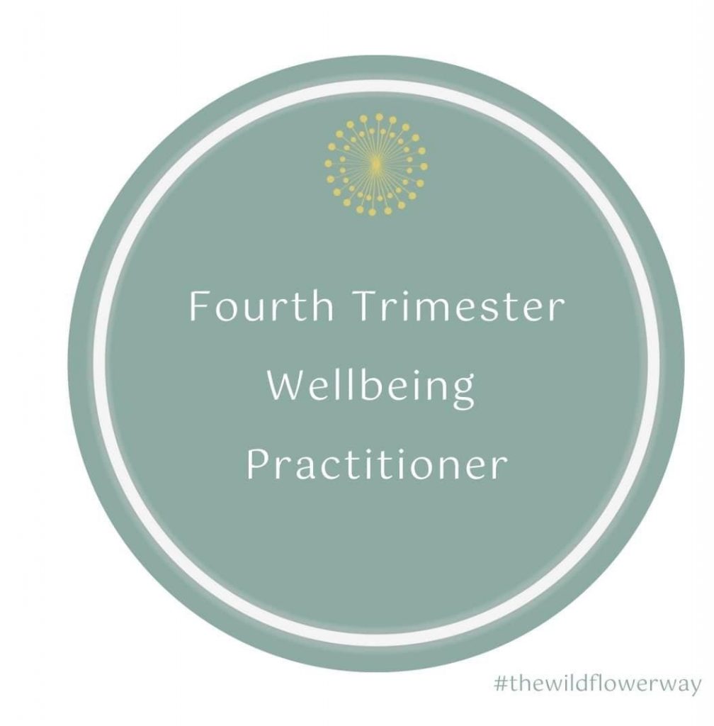 Fourth Trimester Wellbeing Practitioner